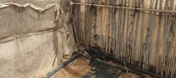 Земельный участок 4887м² в Гранадилья-де-Абона, Испания № 169538 33