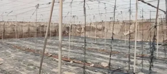 Земельный участок 4887м² в Гранадилья-де-Абона, Испания № 169538 28