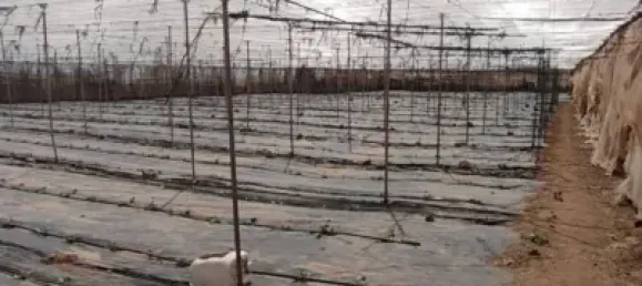 Земельный участок 4887м² в Гранадилья-де-Абона, Испания № 169538 18