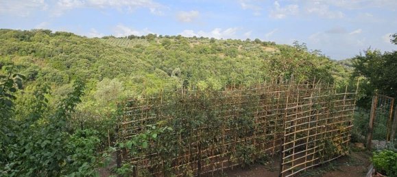 7 bedrooms House in Scansano, Italy No. 313279 8