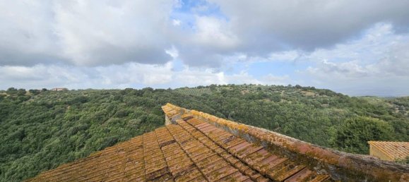 7 bedrooms House in Scansano, Italy No. 313279 37