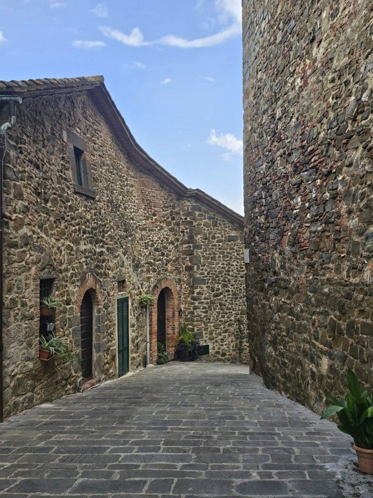 7 bedrooms House in Scansano, Italy No. 313279