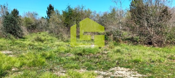 Terrain à Condeixa a Nova, Portugal 15690m² No. 70983 4