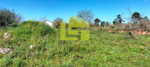 Terrain à Condeixa a Nova, Portugal 15690m² No. 70983 13