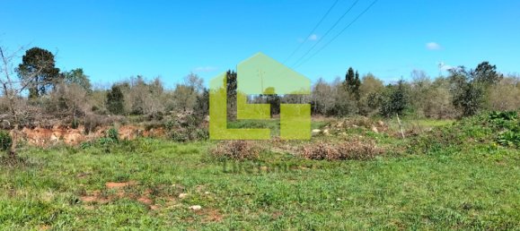 Terrain à Condeixa a Nova, Portugal 15690m² No. 70983 8