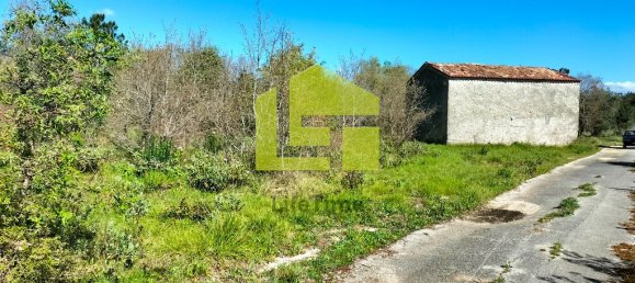 Terrain à Condeixa a Nova, Portugal 15690m² No. 70983 16