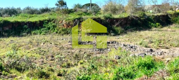 Terrain à Condeixa a Nova, Portugal 15690m² No. 70983 10