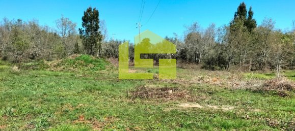 Terrain à Condeixa a Nova, Portugal 15690m² No. 70983 12