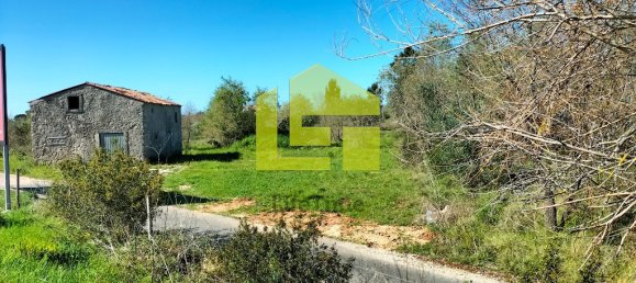 Terrain à Condeixa a Nova, Portugal 15690m² No. 70983 24