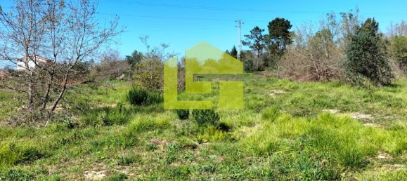 Terrain à Condeixa a Nova, Portugal 15690m² No. 70983 5