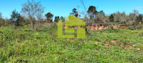 Terrain à Condeixa a Nova, Portugal 15690m² No. 70983 7