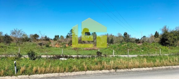 Terrain à Condeixa a Nova, Portugal 15690m² No. 70983 19