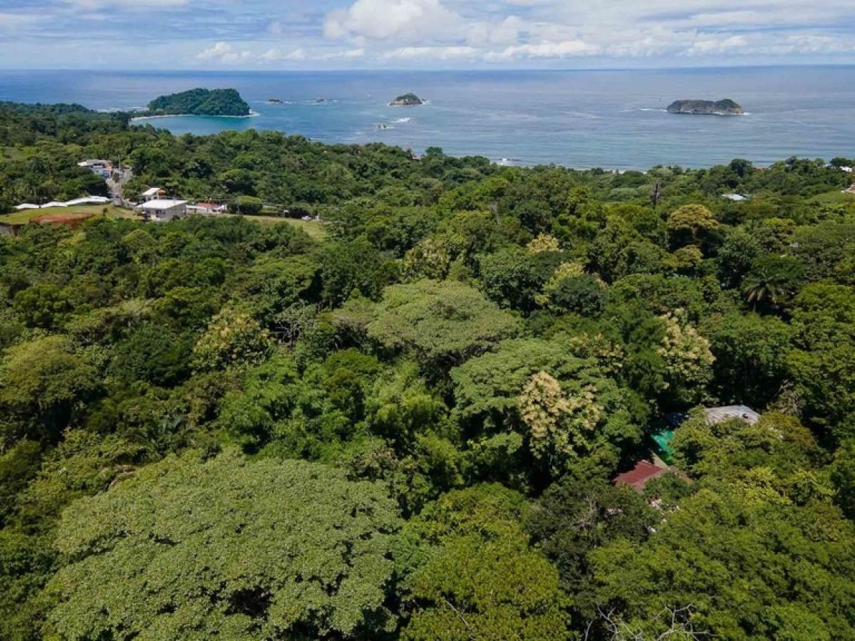 terreno en venta en Savegre, Quepos, Puntarenas, Costa Rica № 2042