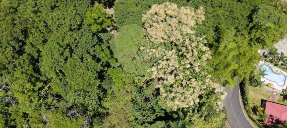 terreno en venta en Savegre, Quepos, Puntarenas, Costa Rica № 2042 3