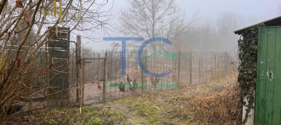 10غرفة فيلا في Gazzola, Italy رقم 79128 24