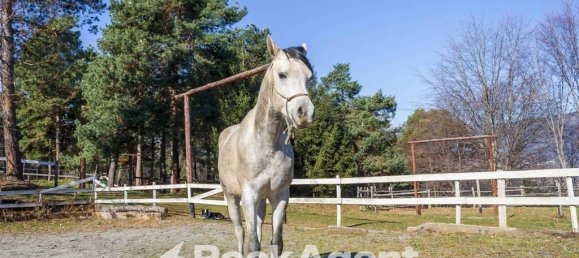 2 غرف نوم منزل في Giaveno, Italy رقم 273985 27