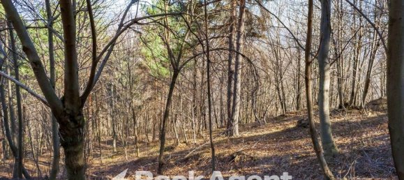 2 غرف نوم منزل في Giaveno, Italy رقم 273985 36