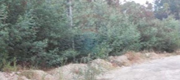 Grundstück in Viseu, Portugal 1800m², Nr. 45694 2