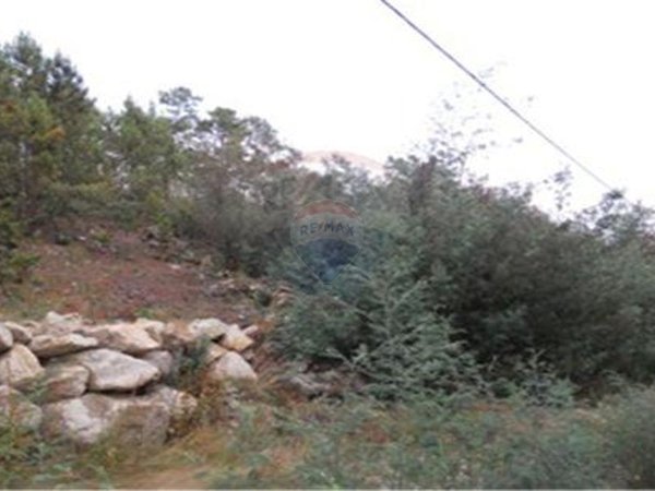 Grundstück in Viseu, Portugal 1800m², Nr. 45694