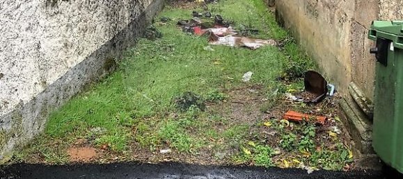 8 غرف نوم منزل في Vinhais, Portugal رقم 40830 7