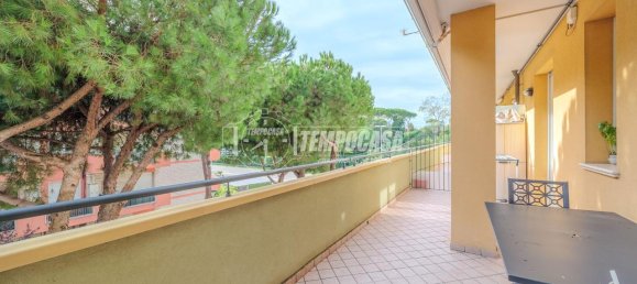 5 rooms Apartment in Misano Adriatico, Italy No. 7056 25