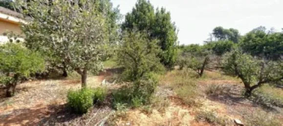 4 غرف نوم منزل في Alzira, Spain رقم 190581 46