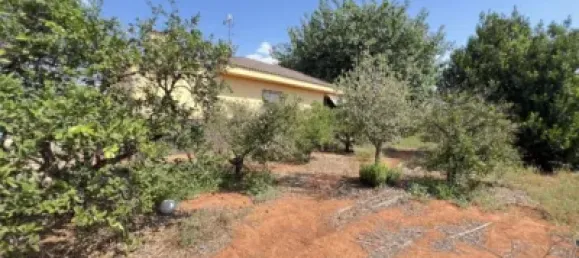 4 غرف نوم منزل في Alzira, Spain رقم 190581 45