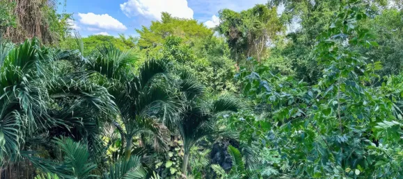 2 chambres Appartement à Pattaya, Thailand No. 11208 11