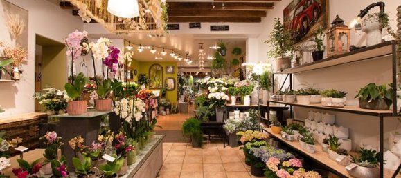 3 Schlafzimmer Haus in Evron, France, Nr. 312618 5