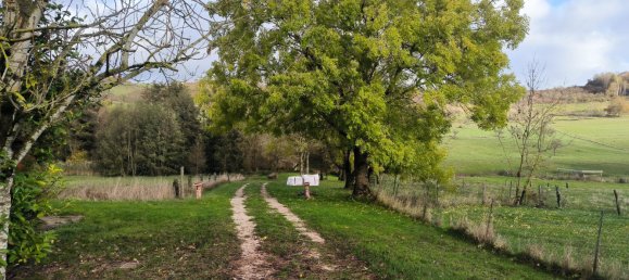 3 Schlafzimmer Haus in Vittel, France, Nr. 94755 10