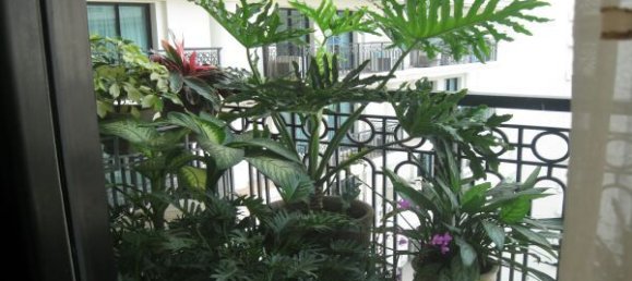 4 bedrooms Apartment in Hoan Kiem, Vietnam No. 5590 14