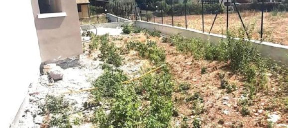 5 rooms Villa in Altavilla Milicia, Italy No. 72740 4