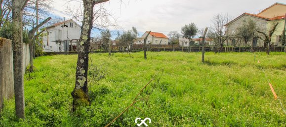 Terrain à Viseu, Portugal No. 38483 6