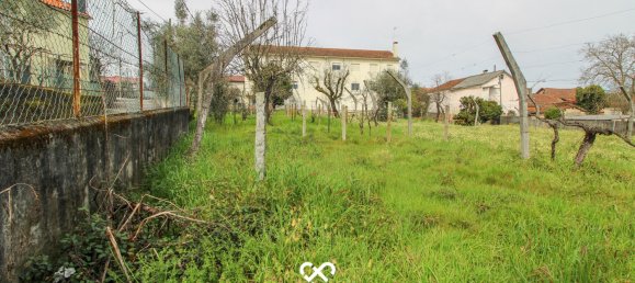 Terrain à Viseu, Portugal No. 38483 7