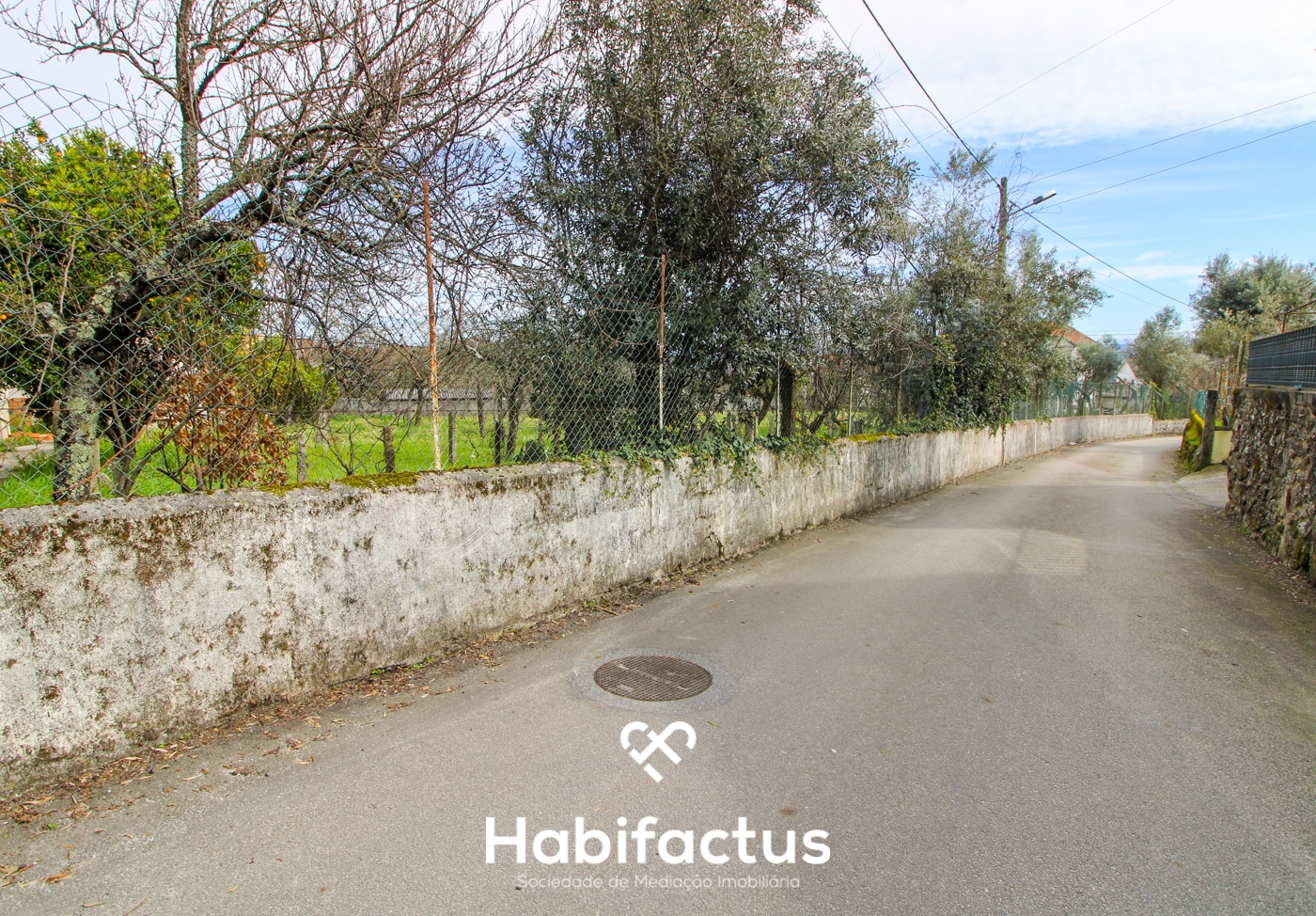 Terrain à Viseu, Portugal No. 38483