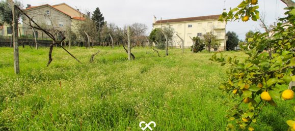 Terrain à Viseu, Portugal No. 38483 4