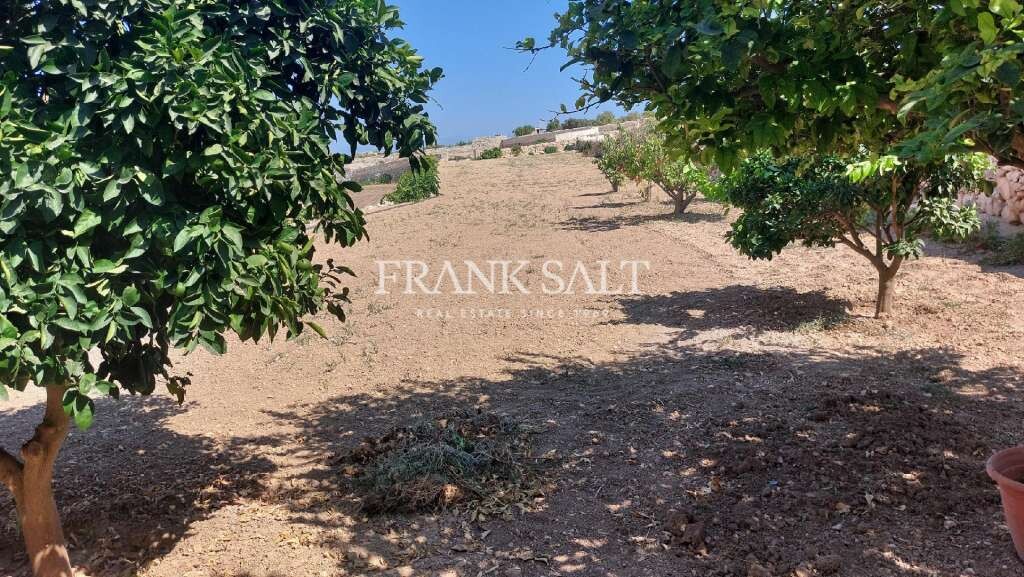 3 bedrooms Farm in Zebbug, Malta No. 246