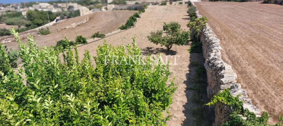 3 bedrooms Farm in Zebbug, Malta No. 246 17