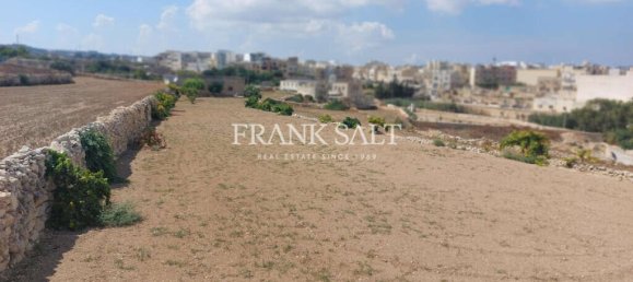 3 bedrooms Farm in Zebbug, Malta No. 246 6