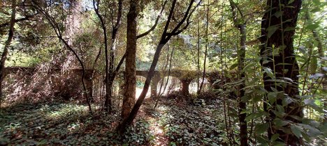 112612m² Land in Caldas da Rainha, Portugal No. 82241