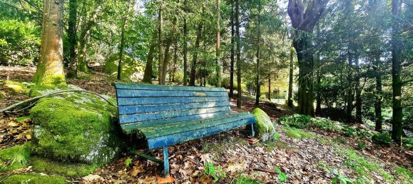 5 bedrooms House in Vieira do Minho, Portugal No. 184581 2