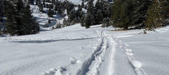 6غرفة منزل في Reichenau, Austria رقم 138973 7