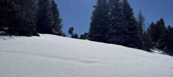 6غرفة منزل في Reichenau, Austria رقم 138973 6