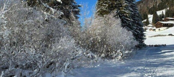 6غرفة منزل في Reichenau, Austria رقم 138973 5