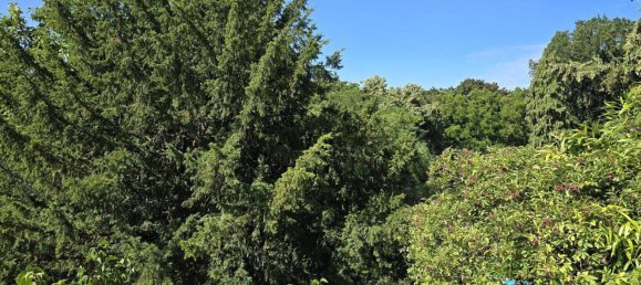 5 rooms House in Saarbrucken, Germany No. 316351 23