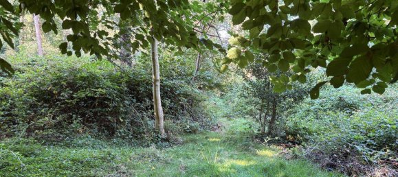 2 Schlafzimmer Haus in Wittmund, Germany, Nr. 289469 20