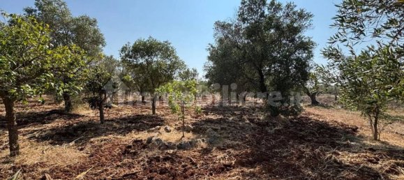 3 bedrooms Villa in Ostuni, Italy No. 340559 8