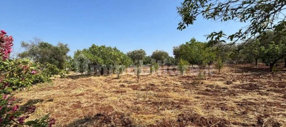 3 bedrooms Villa in Ostuni, Italy No. 340559 9