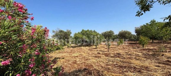 3 bedrooms Villa in Ostuni, Italy No. 340559 10