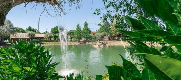 مستودع في Abrantes, Portugal 2588متر مربع رقم 50323 6